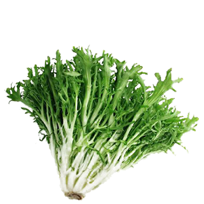 Фрізе